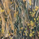 Cusumano, Vegetazione