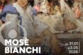 L'OTTOCENTO A COLORI: MOSÈ BIANCHI AL MUST