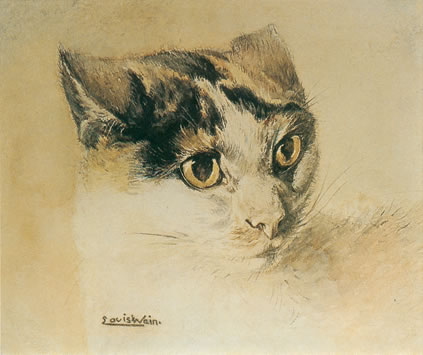 Wain_Cat_(realistic)
